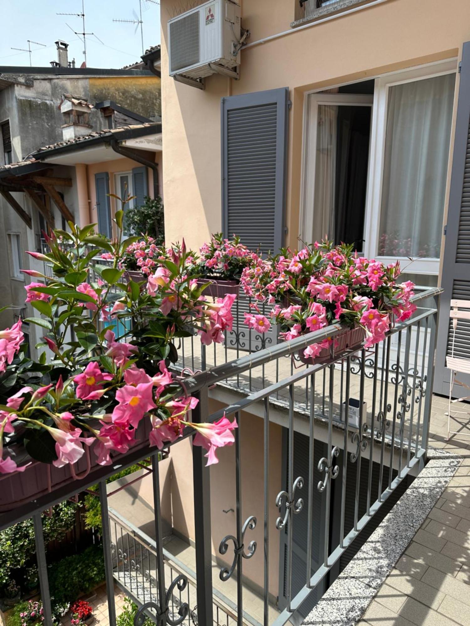 D-Place Apartment Piazza Duomo 크레마 외부 사진